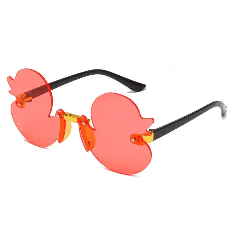 Lunettes de Soleil Canard 