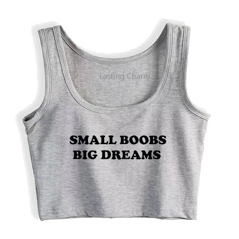 T-shirt "Small Boobs Big Dreams" gris